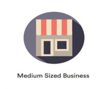 Medium Business category 326x2703